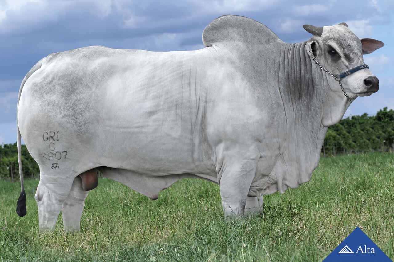 Mahuida